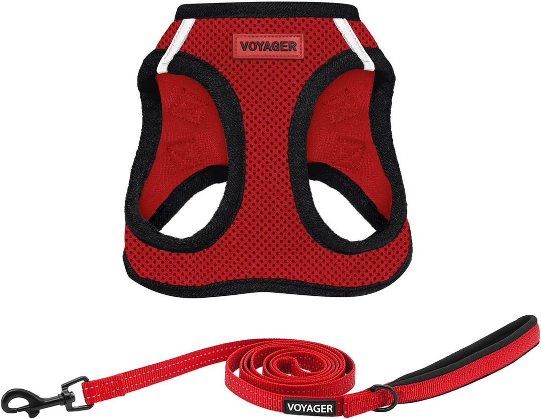 Best Pet Supplies Voyager Step-in Air All Weather Mesh Harness and Reflective Dog 5ft Leash Combo with Neoprene Handle, for Small, Medium and Large Breed Puppies - Set (Red/Black Trim), Medium