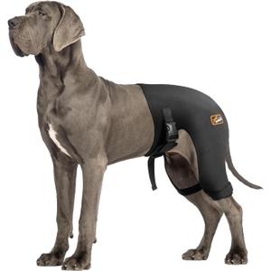 Dog Hip Brace with Hot/Cold Compress, Support for Hip Dysplasia, Arthritis, Back Leg limping, Prevents Hip Joint Issues, Reduce Hip Pain etc(Female Dog, XXL) (Extra Extra Large)