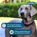 Seresto Large Dog Vet-Recommended Flea & Tick Treatment & Prevention Collar for Dogs Over 18 lbs. | 2-Pack
