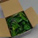 Der Rose 4Pcs Small Fake Plants Black Artificial Mini Faux Plants for Bathroom Office Desk Shelf Table Accessories Decor Indoor