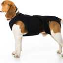 Dog Back Brace for Small Dogs - Adjustable Spinal Stability Brace with 5 Flexible Plastic Strips, Comfortable for Senior or Less Mobile Small Dogs, Machine Washable, Black S