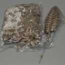 Suncalla 18 Pack 3 Styles 17 Inch Christmas Glitter Poinsettia Berry Stems Ornaments Artificial Floral Branches Picks for Christmas Tree Home Vase Holiday Party Decor(Champagne)