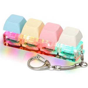 Keyboard Fidget Toys for Adults Keyboard Clicker with LED Light Keychain Fidget Sensory Fun Toys for Anxiety Decompression (Macaroon1, 4 in 1)