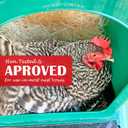 Nest Box Pads for Chicken Nesting Boxes - 13 x 13 Pads Made in USA from Sustainably Sourced Aspen Excelsior (10 Pack)