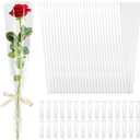 cridoz 100 Pcs Single Rose Sleeve with 100 Pcs Floral Water Tubes for Bouquets, Single Flower Sleeve Flower Wrapping Bags Flower Water Tubes for Mother's Day Graduation Party (Transparent)