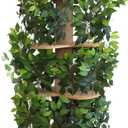 On2 Pets Cat Tree with Leaves Made in USA, House & Activity Tree, Multi-Level Cat Condo for Indoor Cats. (Square Base, XL Green) (Extra Large)