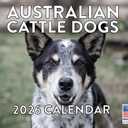 Australian Cattle Dog Calendar 2026 Monthly Wall Calender 12 Month | American Made In The USA