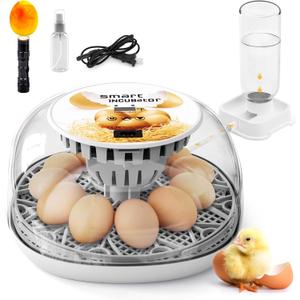 Egg Incubator for Hatching Chicks, Automatic Egg Turner Holds 12 Eggs, Smart Incubator 360 Clear Window with Temperature Display Egg Candler for Small Poultry Chickens Ducks Quails Eggs