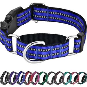 Hikiko Martingale Collar for Dogs Reflective Nylon Dog Collar with Quick Release Buckle Adjustable Training No Slip Dog Collar (Large, Blue)