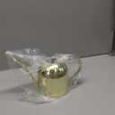 Stainless Steel Water Can for Indoor Plants and Garden (15 oz)