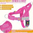 Lukovee No Pull Dog Harness & Leash Set - Heavy Duty Dog Vest Harness with Soft Padded for Medium Large Dogs, Adjustable Reflective Tactical Pet Harness for Easy Walk and Training (L, FU)