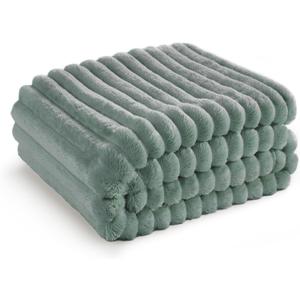 Bedsure Sage Green Fleece Blanket for Couch - GentleSoft Cozy Soft Blankets for Women, Cute Small Throws for Girls, 50x70 Inches