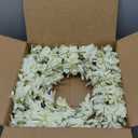 Spring Wreath for Front Door, 24 Inch White Cream Forsythia Spring Wreath Blossom Cluster Flower Farmhouse on Grapevine for Festival Celebration Front Door Wall Window Hanging Dcor