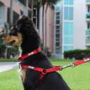 Pawtitas Solid Step-in Dog Harness Adjustable No-Pull Vest for Puppies to Seniors, Safe & Comfortable S Purple