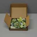 Floroom Mini Artificial Flower Heads Sage & Olive Green Fake Peony Daisy Rose Multicolor Small Faux Silk Flower Heads for Cake Craft Garland Wedding Party Graduation Cap DIY Home Decoration, 0.8"-3.6"