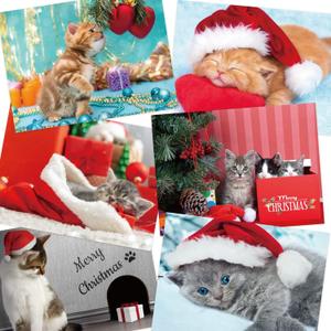 Fancy Land Kitten Christmas Cards Assortment Holiday Greeting Card with Envelopes 24Pcs
