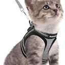 rabbitgoo Cat Harness and Leash Set for Walking Escape Proof, Adjustable Soft Kittens Vest with Reflective Strip for Cats, Comfortable Outdoor Vest, Grey, S