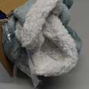 Bedsure Blanket Hoodie, Wearable Blanket Hoodie as Gifts for Mom, Birthday Gifts for Women Kids Teens Sherpa Sweatshirt, Light Green, Small