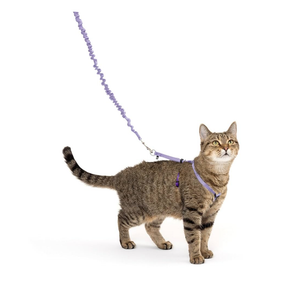 PetSafe Come with Me Kitty Cat Harness & Bungee Leash - Comfortable No-Choke Harness with Lightweight Bungee Leash for Outdoor Fun - Escape Free Pulling Prevention - Small - Lilac