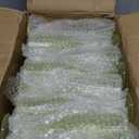 Plastic Champagne Flutes, 48PCS Green Plastic Wine Glasses Goblets Reusable Champagne Flute for Weddings, Bachelor Parties, Toasting, and Events(48, Green)
