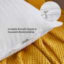 Oubonun 20 x 20 Throw Pillow Inserts, Firm and Fluffy Decorative Square Pillows for Couch Bed Sofa with Soft Cotton Cover White Cushion with Down Alternative Pack of 2