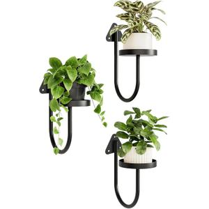 Wall Mounted Plant Holder , Yi Cheng Indoor Wall Plant Hanger with Shelves for Window Plants, Hanging Planters for Home Decor, Set of 3 Black Plant Wall Organizers