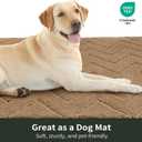 Stiio Bathroom Rugs, Bath Mats for Bathroom, Extra Soft and Water Absorbent, Non Slip Washable Muddy Mat for Floor, Tub and Shower, Front Door Entrance Inside Doormat, 24x35 Inches Brown (Taupe)