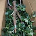 6FT Faux Olive Tree with Decorative Planter, Olive Trees Artificial Indoor with Textured Trunk, Silk Leaves and Olive Fruits, Fake Plants for Living Room, Entryway and Office Decor