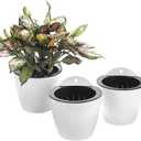 3 Pack Self Watering Wall Hanging Planter Pots Vertical Garden Window Hang Mount Indoor Outdoor Plant Flower Basket for Kitchen Herbs Balcony Railing Shelf Fence Bedroom Trellis Decor Modern White Box