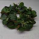 24 Inch Eucalyptus Wreaths for Front Door,Spring Summer Fall Autumn Winter Wreaths,Large Eucalyptus Greenery Wreath with Olive Leaves Berries for Front Door Outdoor Farmhouse Decor All Seasons