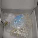 Seashell Night Light, Beach Night Light Plug into Wall with Manual On/Off Switch, LED Energy-Saving Lamps, 360 Swivel Plug, Beach Decor Coastal Decor for Bedroom Bathroom(Seashell)