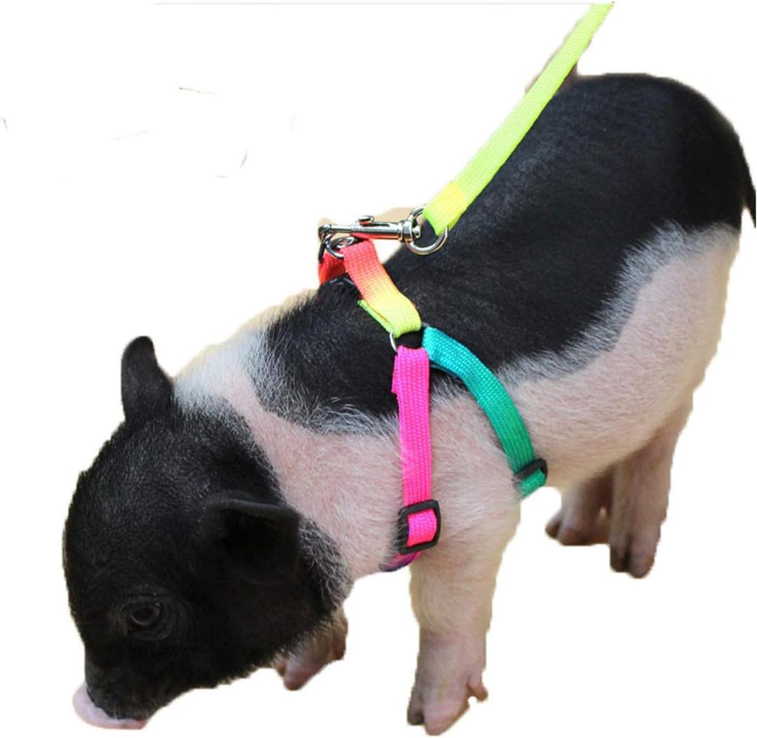 2 x Pig Adjustable Harness Leash for Hog, Ferret, Rabbit, Dog and Similar Small Animals
