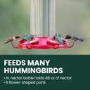 Perky-Pet 220 The Grand Master 48-Ounce Hummingbird Feeder