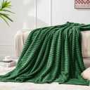 BEDELITE Fleece Throw Blanket for Couch 3D Ribbed Jacquard Soft and Warm Decorative Fuzzy Blanket Cozy, Fluffy, Plush Lightweight Green Throw Blankets for Bed, Sofa, 50x60 inches