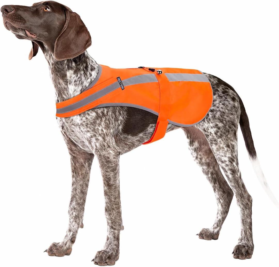 Reflective Dog Vest for Small Medium Breeds, High Visibility Dog Safety Vest with Removable Bell Keep Safe from Hunting, Training & Cars Accidents (Blaze Orange)