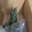 Keeplush 3ft Artificial Snake Plant – 36in Faux Sansevieria Plants, Fake Floor Plant for Indoor Outdoor, Front Porch Patio Home Office Decor, Mother-in-Law’s Tongue, Green, 1 Pcs