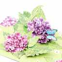 Liif Hydrangea Blossoms Butterfly 3D Greeting Pop Up Mother's Day Card, Spring, Summer, Anniversary, Fathers Day, Get Well, Thinking Of You,With Message Note & Envelop,Large Size 8x6 Inch Pack of 2