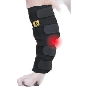 AGON Dog Leg Braces for Back Leg wrap hock Compression Protects Wounds and Helps heal hind Legs Rear Ankle Joint, preventing Injuries, sprains Providing Stability for Dogs, Canines Arthritis (M-)