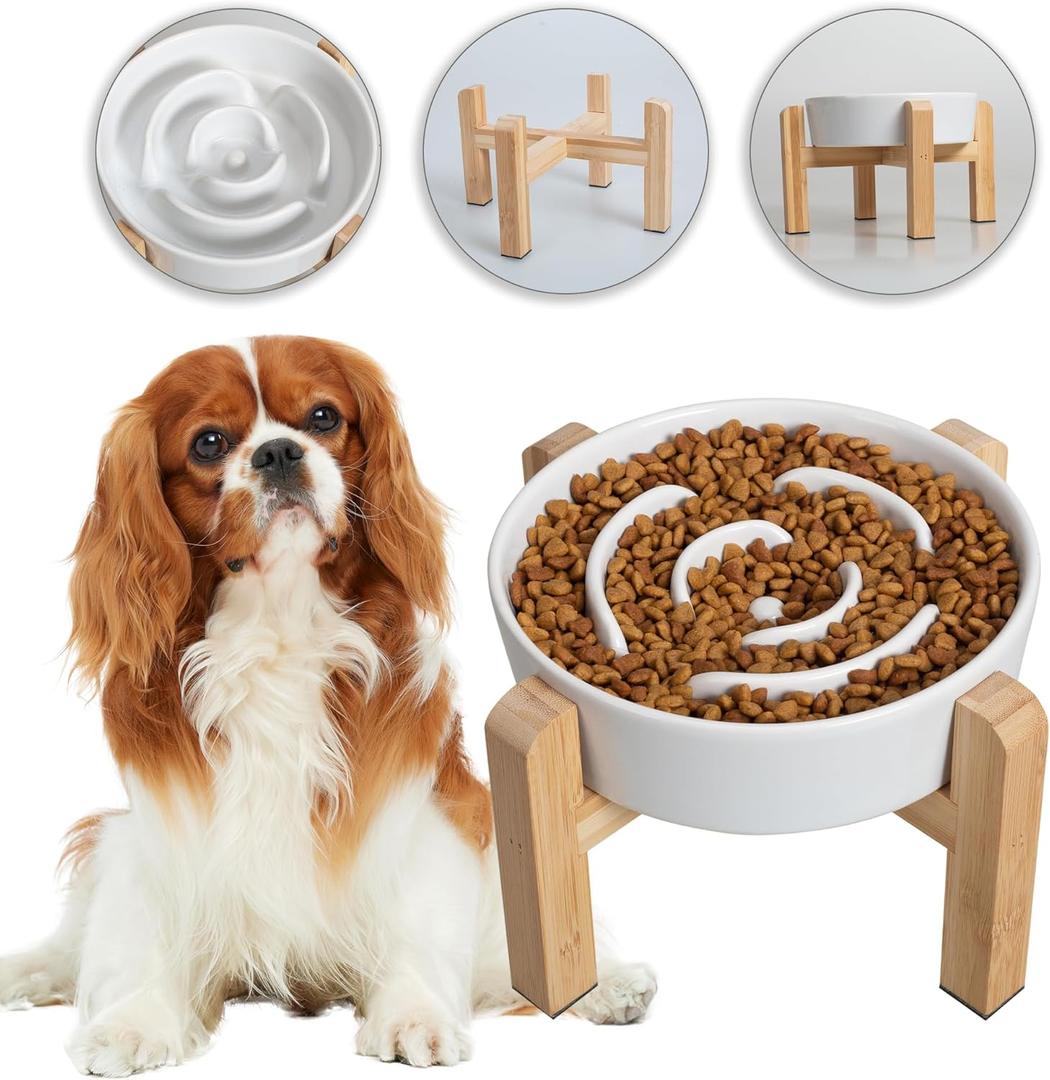 Elevated Slow Feeder Dog Bowl - Ceramic Maze Food Dish with Bamboo Stand - Raised Feeding Bowl for Fast Eaters - Ideal for Small and Medium Dogs - White - 6.7 inch (1.25 CUP)