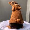 YQYS Dog Cat Halloween Costumes Warm Plush Poncho for Small Dogs Kitten Halloween Outfit Costums for Teacup Dog Puppy Clothes for Chihuahua Yorkie Maltese Min Pin Pomeranian Poodle Teddy Bear Medium