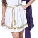 California Costumes Women's Grecian Dress (X-Large, Gold,purple,white)