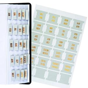 DiverseBee Gold Foil Planner Monthly Tabs, 24 Peel and Stick Laminated Tabs for Notebooks (12 Month and 4 Blank), Calendar Stickers for Planners, Dividers (Jade)