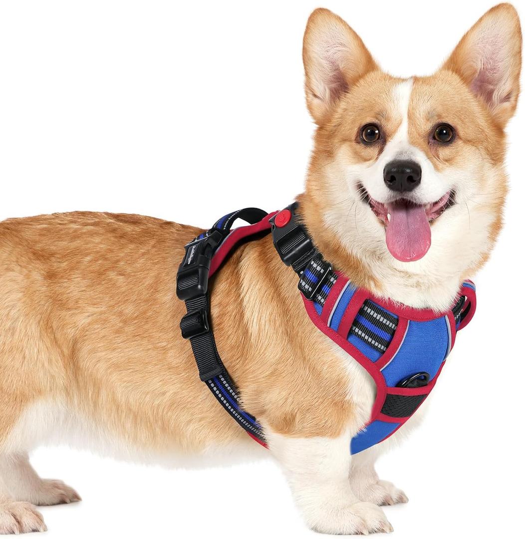 rabbitgoo Dog Harness Small Sized, No Pull Easy On & Off with 3 Buckles Pet Harness, Adjustable Soft Walking Vest with 2 Clips and Handle, Reflective for Small Dogs, Royal Blue & Red, S