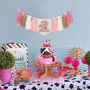 My First Rodeo High Chair Tassel Banner - 1st Birthday Party Decorations, Western Cowboy Theme, Farm Baby Shower, Photo Props, First Rodeo Cake Smash Decor, Rustic Wild West Celebration (Pink Cowgirl)