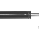 Gabriel G55681 Ultra Front Strut for Ford Mustang Models (1 Pack)