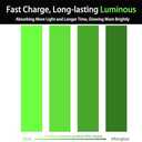 ZUEXT Anti Slip Glow in The Dark Tape 1in x30Ft, Waterproof Non Slip Grip Tape for Stairs Outdoor/Indoor, Glow in The Dark Stair Strips for Night Decoration, Deck, Truck, Walkway, Ramp, Camp