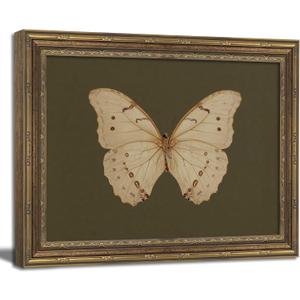 Vintage Gold Framed Wall Art Classical White Butterfly Wall Art Small Moody Insect Green Wall Decor Picture Antique Cottagecore Moth Gallery Aesthetic Poster Print for Living Room Bedroom 12x16in