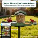Bird Feeder with Camera, Smart AI Bird Identification & Solar Panel,2K HD Live View Instant Alerts, Auto Capture, Weatherproof Outdoors Garden Camera, for Birds Lovers