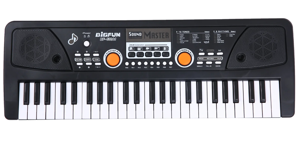 Children BIGFUN 49 Keys USB Electronic Organ Kids Electric Piano With Microphone Black Digital Music Electronic Keyboard Built-in Stereo Speakers With 16 Tones 8 Rhythms 6 Demo