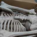 JOYIN 5 FT Halloween Skeleton Decor with Stand, Posable Life Size Skeleton, Full Body Realistic Bones with Movable Joints, Giant Skeletons Halloween Decorations for Indoor Outdoor Spooky Scene Decor